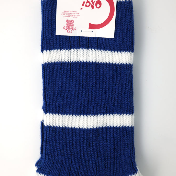 【MENS】SOFT COTTON SPORTS LINE SOCKS BLUE LINE