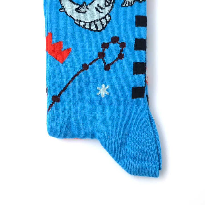 Pisces Sock