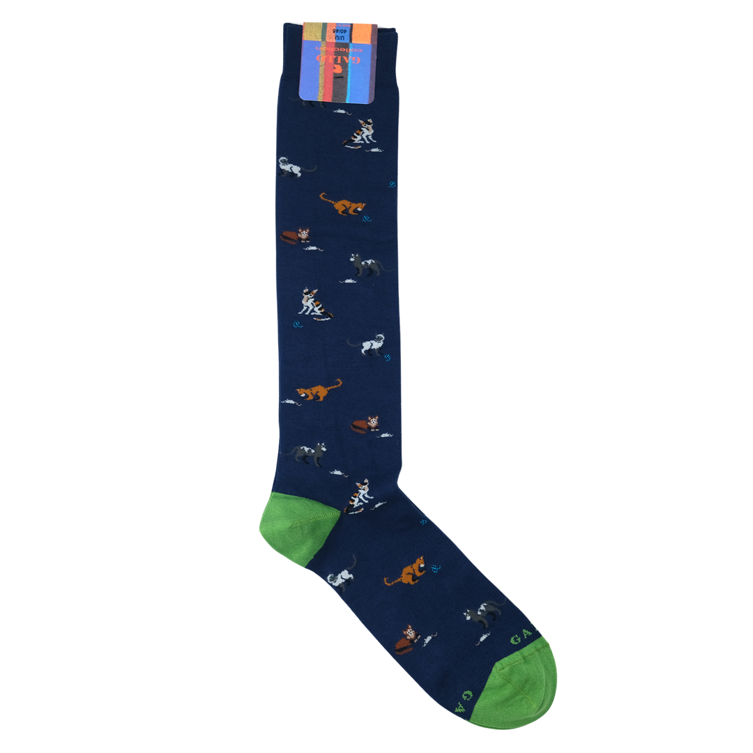 246-ap515265-1-inglese- 246-ap515265-1-inglese-