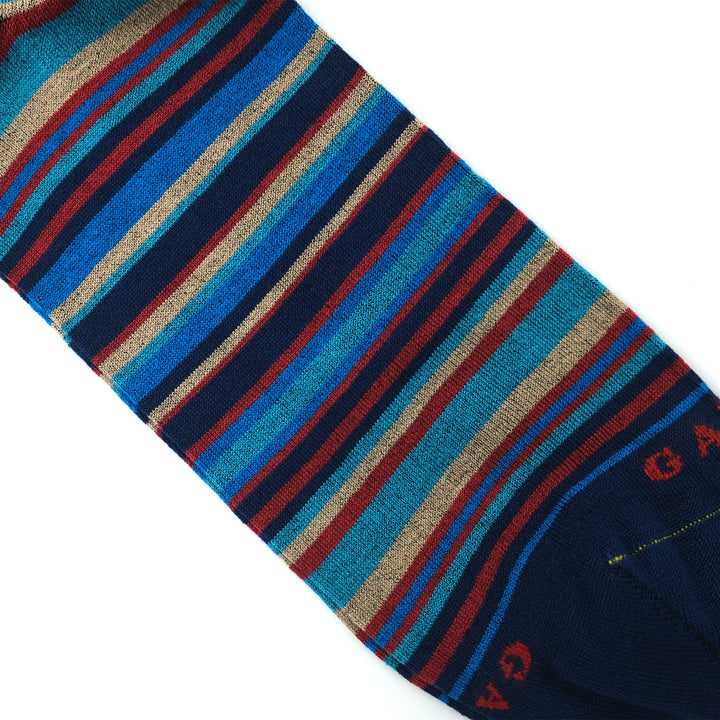 ストライプ コットン ロングホーズ ROYAL/CARMINIO