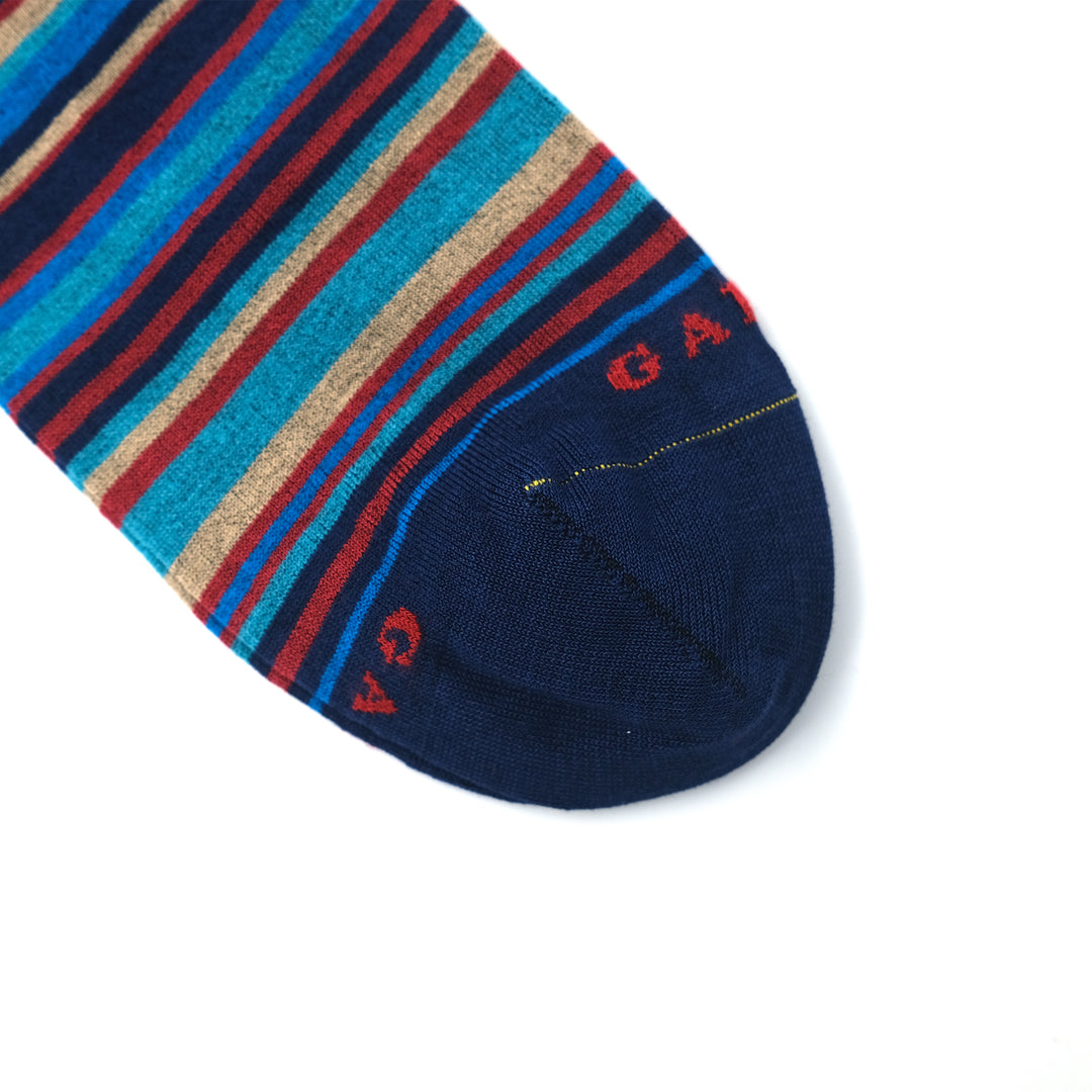 ストライプ コットン ロングホーズ ROYAL/CARMINIO