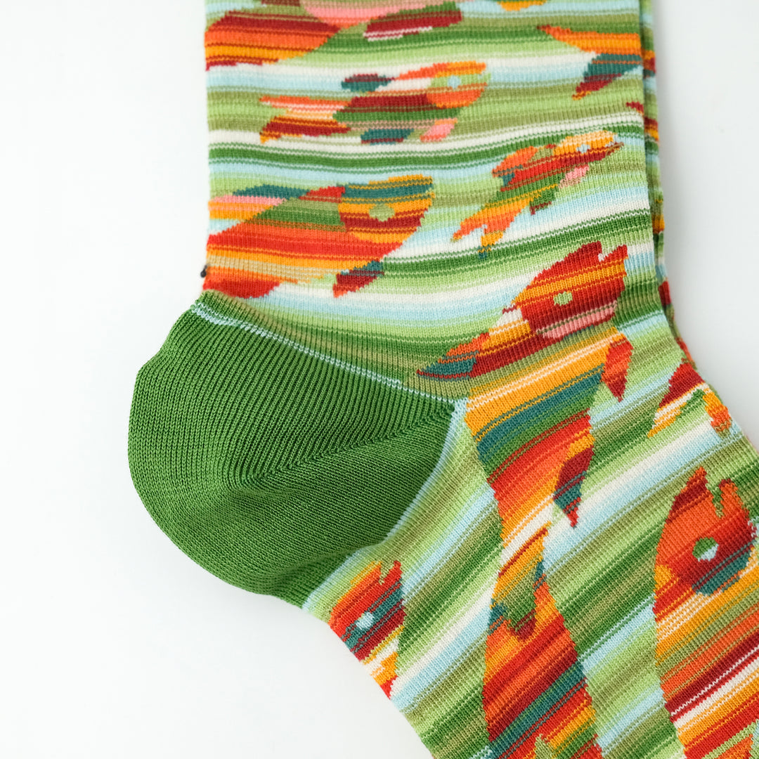 Sock Poissons Avocat