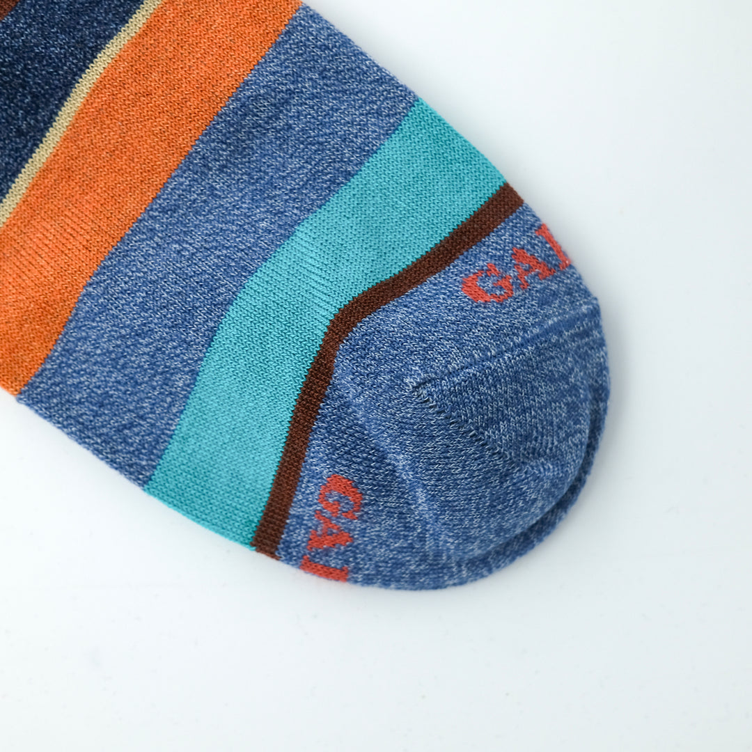 マルチカラーストライプ コットンロングホーズ DENIM / ACE