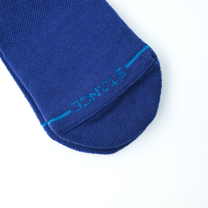 ICON（INDIGO2）