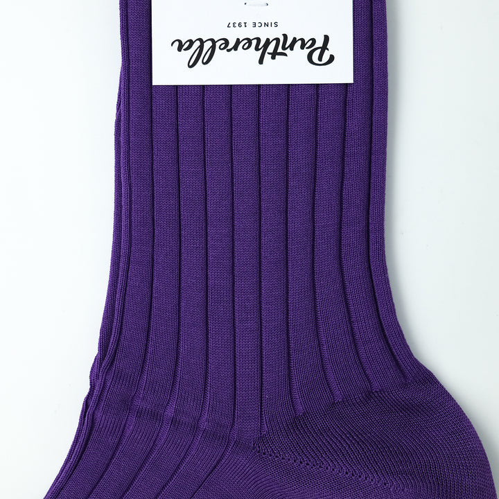 【WOMENS】JASMINE CROCUS